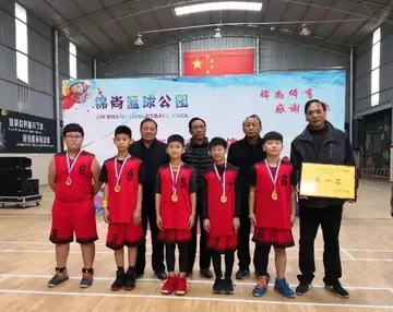 为什么模拟训练是篮球发展的重要环节_2